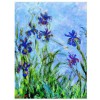 EUROGRAPHICS, 6000-2034, 628136620345, PUZZLE ARTE EUROGRAPHICS IMPRESSIONISMO CLAUDE MONET : IRIS (DETTAGLIO) 1000 PZ