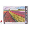 EUROGRAPHICS, 6000-5326, 628136653268, PUZZLE PAESAGGI EUROGRAPHICS CAMPO DI TULIPANI NEI PAESI BASSI 1000 PZ