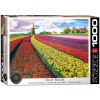 EUROGRAPHICS, 6000-5326, 628136653268, PUZZLE PAESAGGI EUROGRAPHICS CAMPO DI TULIPANI NEI PAESI BASSI 1000 PZ