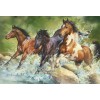 TREFL, 26148, 5900511261486, PUZZLE ANIMALI TREFL CAVALLI TRE CAVALLI SELVAGGI 1500 PZ