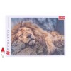 TREFL, 10447, 5900511104479, PUZZLE ANIMALI TREFL LEONI LEONE 1000 PZ