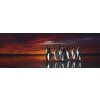 HEYE, 29858, 4001689298586, PUZZLE ANIMALI HEYE PINGUINI PANORAMA KING PENGUINS 1000 PZ
