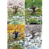 HEYE, 29873, 4001689298739, PUZZLE GRAFICA HEYE FUMETTI BLACHON 4 SEASONS 2000 PZ