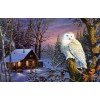 SUNSOUT, 71230, 796780712300, PUZZLE PAESAGGI SUNSOUT INVERNO TERRY DOUGHTY - NIGHT WATCH 1000 PZ