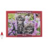 CASTORLAND 104086