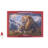 CASTORLAND 104277