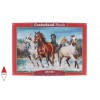 CASTORLAND 200702