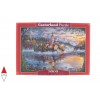 CASTORLAND 300495