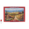 CASTORLAND 300587