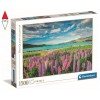 CLEMENTONI 31728