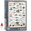 EUROGRAPHICS 6000-0313