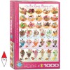 EUROGRAPHICS 6000-0590