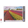 EUROGRAPHICS 6000-5326