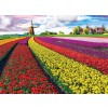 EUROGRAPHICS 6000-5326