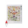 NEW YORK PUZZLE PD635