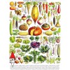NEW YORK PUZZLE PD635