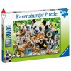 RAVENSBURGER 12893