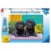 RAVENSBURGER 12950