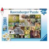 RAVENSBURGER 13353