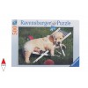 RAVENSBURGER 14179