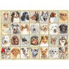 RAVENSBURGER 16758