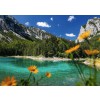 RAVENSBURGER 16869