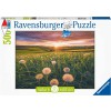 RAVENSBURGER 16990