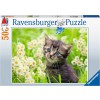 RAVENSBURGER 17378