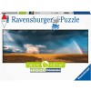 RAVENSBURGER 17493