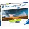 RAVENSBURGER 17493