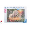 RAVENSBURGER 19793