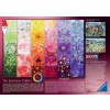 RAVENSBURGER 19800