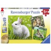 RAVENSBURGER 8041