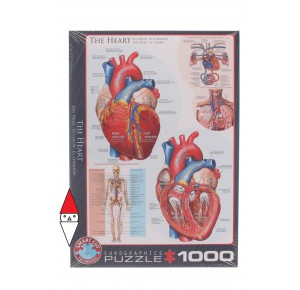 EUROGRAPHICS, , , PUZZLE TEMATICO EUROGRAPHICS ANATOMIA IL CUORE 1000 PZ