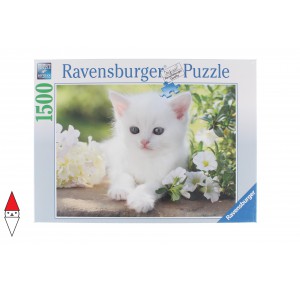 RAVENSBURGER 16243