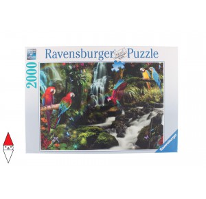 RAVENSBURGER, , , PUZZLE ANIMALI RAVENSBURGER PAPPAGALLI IL PARADISO DEI PAPPAGALLI 2000 PZ