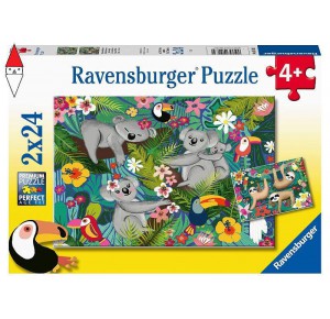 , , , PUZZLE RAVENSBURGER PUZZLE 2X24 PZ KOALA E BRADIPI