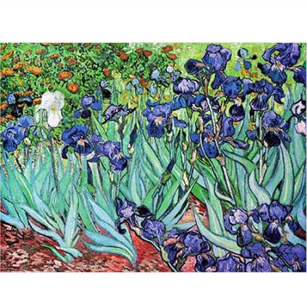 DTOYS, DToys-66916-VG03-(70241), 5947502870241, PUZZLE ARTE DTOYS IMPRESSIONISMO VAN GOGH VINCENT IRIS 1000 PZ