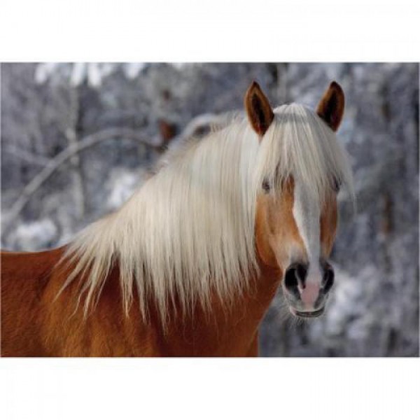 DTOYS, Dtoys-65933-HH01-(65933), 5947502865933, PUZZLE ANIMALI DTOYS CAVALLI SPECIALE DIFFICILE CAVALLO HAFLINGER N 1 239 PZ