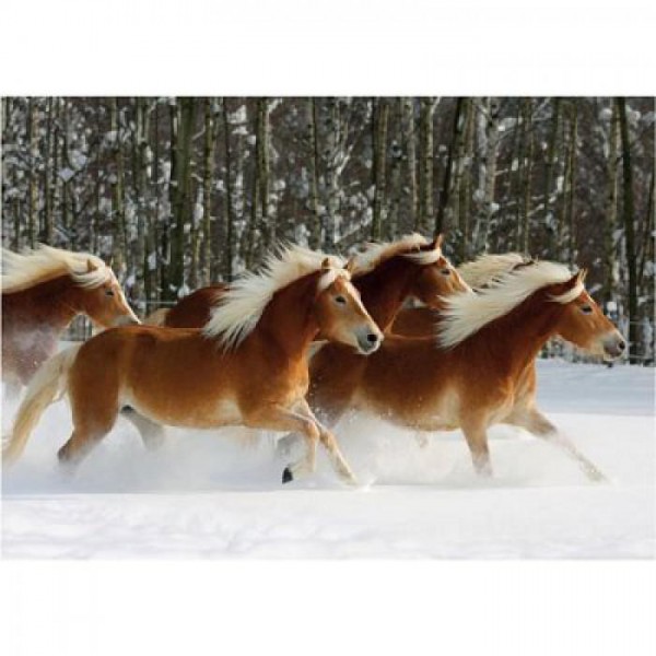 DTOYS, DToys-65933-HH04-(70470), 5947502870470, PUZZLE ANIMALI DTOYS CAVALLI SPECIALE DIFFICILE CAVALLO HAFLINGER N 4 239