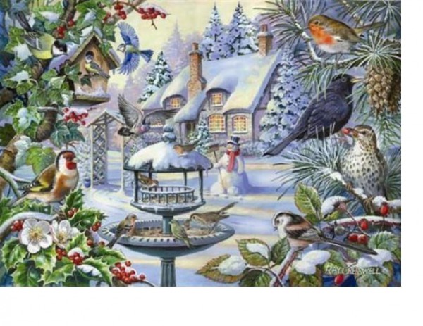 THE HOUSE OF PUZZLES, The-House-of-Puzzles-2247, 5060002002247, PUZZLE ANIMALI THE HOUSE OF PUZZLES UCCELLI PEZZI XXL WINTER BIRDS 500PZ