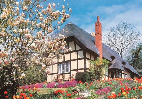 THE HOUSE OF PUZZLES, The-House-of-Puzzles-2643, 5060002002643, PUZZLE PAESAGGI THE HOUSE OF PUZZLES CAMPAGNA FIORI DI APRILE 500 PZ