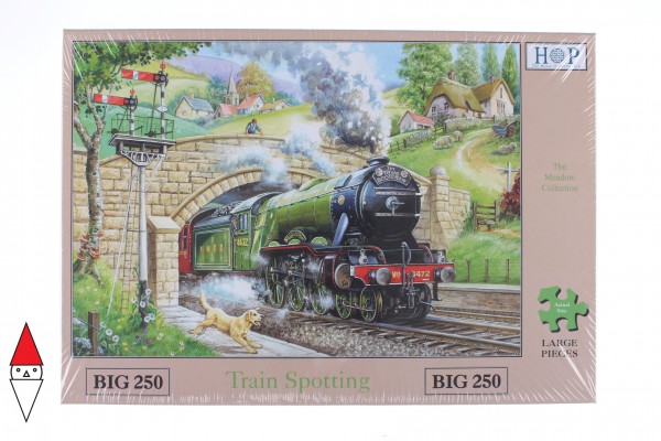 THE HOUSE OF PUZZLES, The-House-of-Puzzles-1448, 5060002001448, PUZZLE MEZZI DI TRASPORTO TRENO PEZZI XXL TRAIN SPOTTING 250PZ