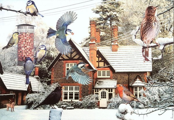 THE HOUSE OF PUZZLES, The-House-of-Puzzles-0304, 5060002000304, PUZZLE TEMATICO THE HOUSE OF PUZZLES STAGIONI INVERNO A BIRDS EYE VIEW 1000 PZ