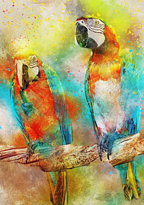 BLUEBIRD, BLUEBIRD-PUZZLE-70032, 3663384700323, PUZZLE ANIMALI BLUEBIRD PAPPAGALLI PARROTS 1000 PZ