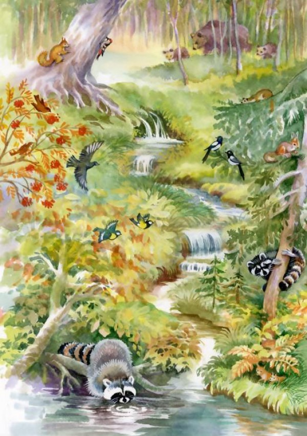 BLUEBIRD, BLUEBIRD-PUZZLE-70025, 3663384700255, PUZZLE ANIMALI BLUEBIRD FORESTA FOREST ANIMALS 1000 PZ