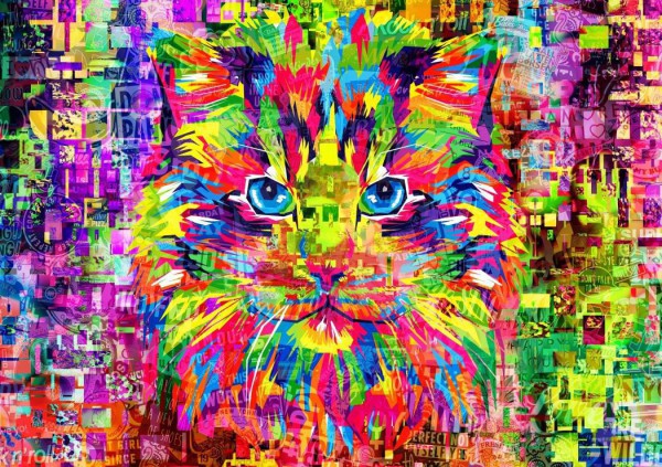 BLUEBIRD, BLUEBIRD-PUZZLE-70220, 3663384702204, PUZZLE ANIMALI BLUEBIRD GATTI WONDERFUL CAT 1000 PZ