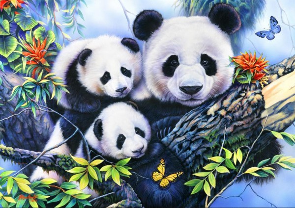 BLUEBIRD, BLUEBIRD-PUZZLE-70079, 3663384700798, PUZZLE ANIMALI BLUEBIRD PANDA PANDA FAMILY 1000 PZ