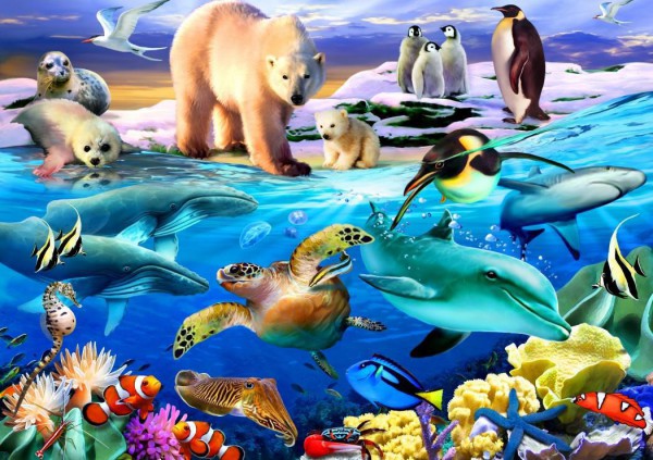 BLUEBIRD, BLUEBIRD-PUZZLE-70288, 3663384702884, PUZZLE ANIMALI BLUEBIRD ANIMALI VARI OCEANS OF LIFE 1000 PZ