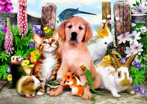 BLUEBIRD, BLUEBIRD-PUZZLE-70291, 3663384702914, PUZZLE ANIMALI BLUEBIRD ANIMALI VARI GOOD COMPANIONS 500 PZ